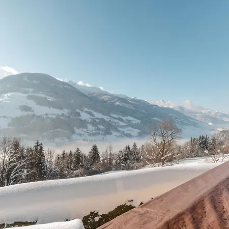 Daire Hinterkerschbaum