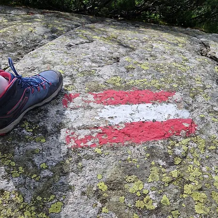 Hinterkerschbaum Daire *