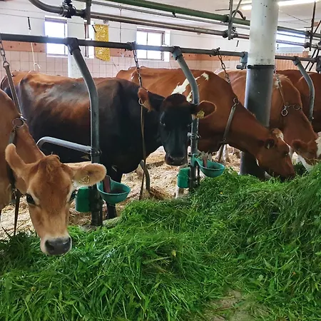 شقة Hinterkerschbaum Kleinsonnberg