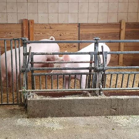 Hinterkerschbaum Apartamento