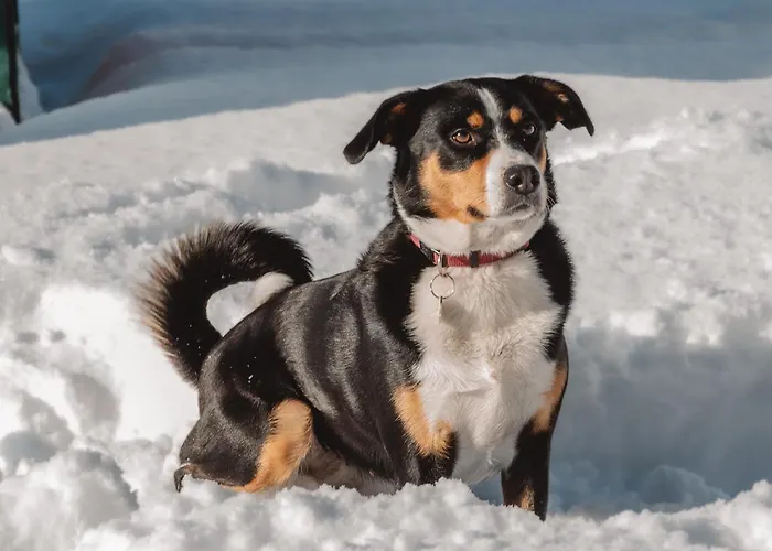 Hinterkerschbaum * Kleinsonnberg