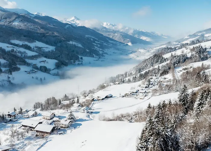 Hinterkerschbaum * Kleinsonnberg