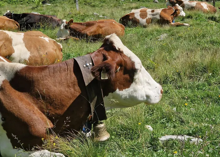 Hinterkerschbaum شقة Kleinsonnberg