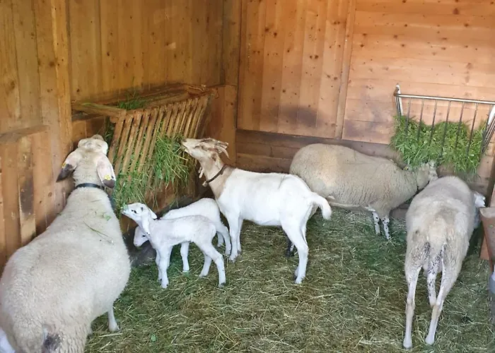 Appartement Hinterkerschbaum Kleinsonnberg