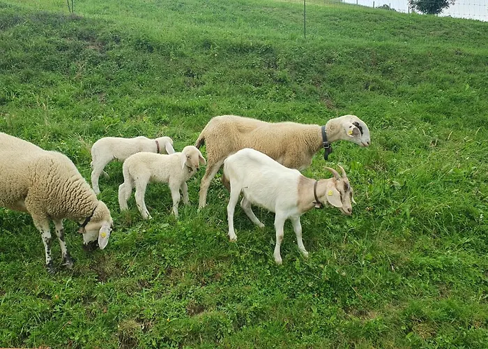 Appartement Hinterkerschbaum