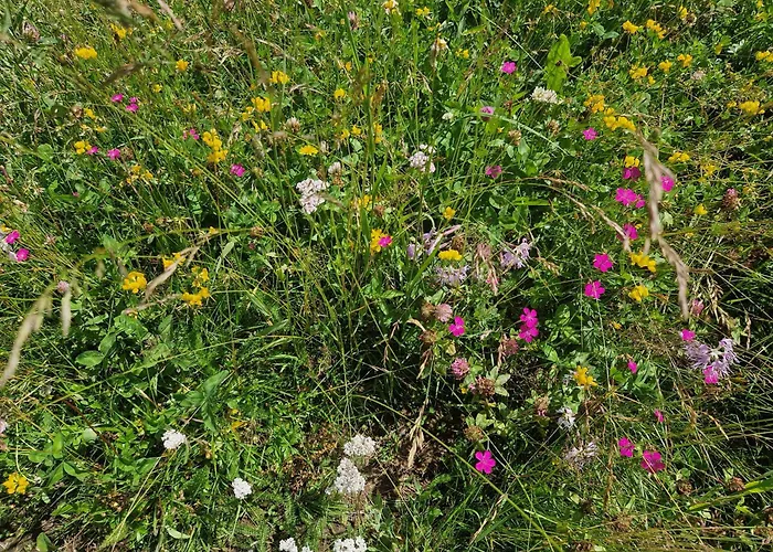 Hinterkerschbaum Appartement Kleinsonnberg