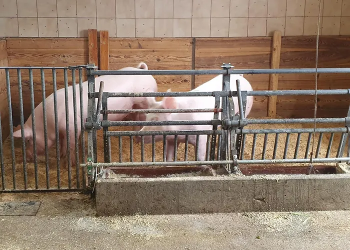 Hinterkerschbaum Appartement